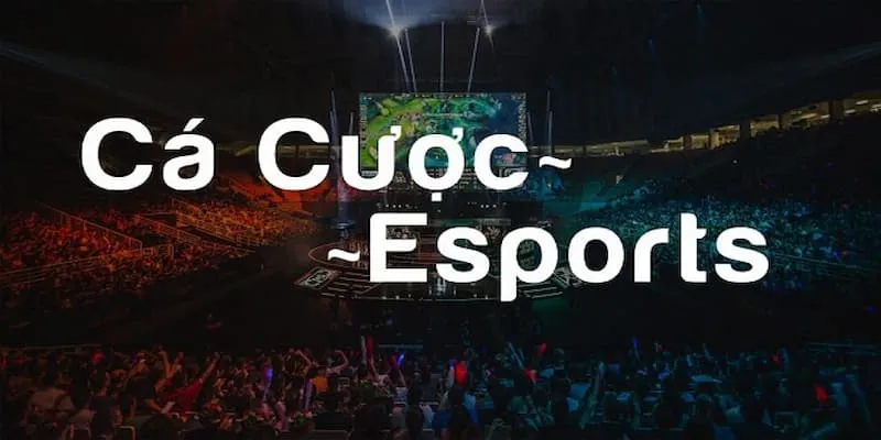 Hướng dẫn từ a đến z cách chơi M88 esports